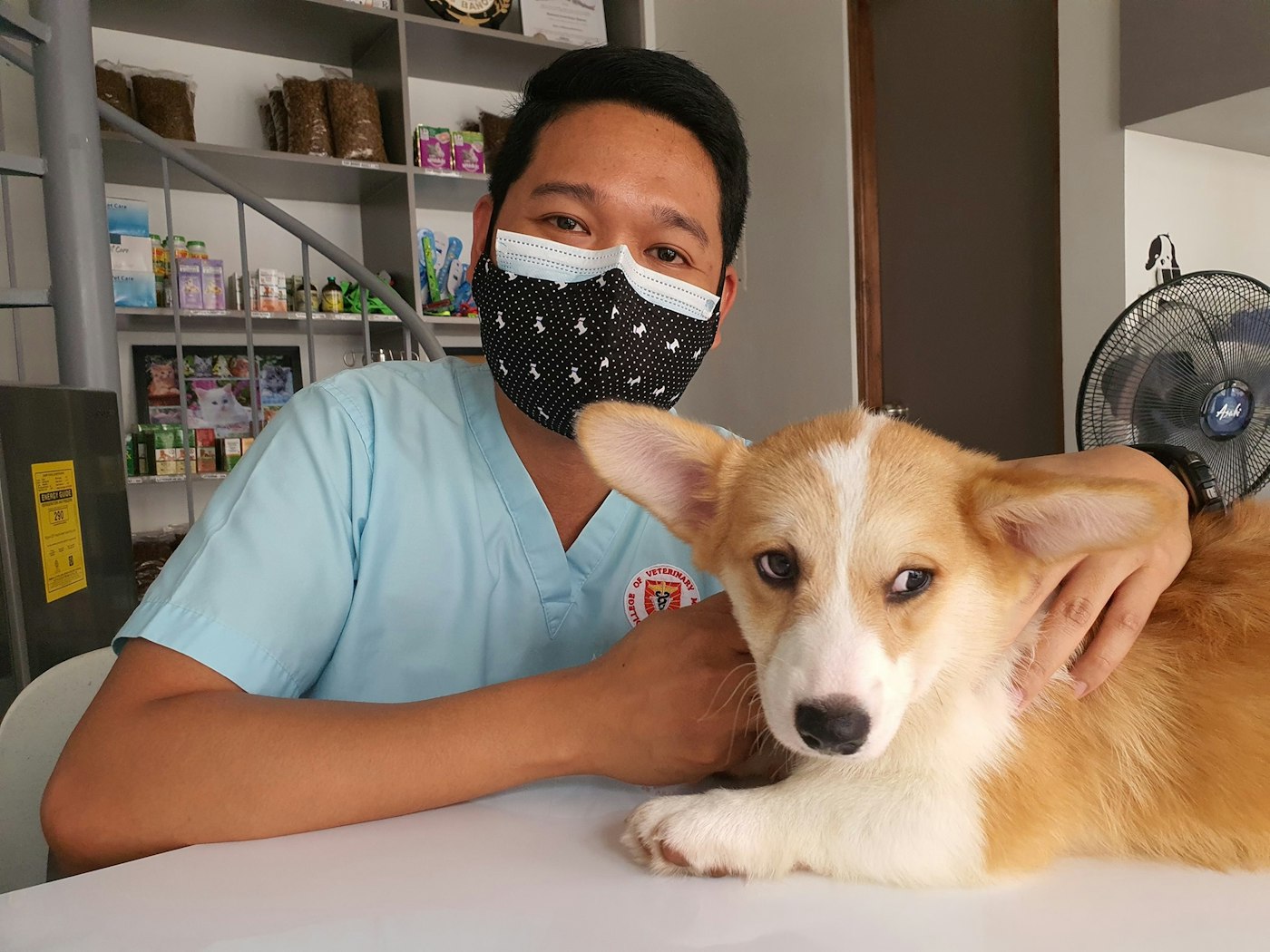 Veterinarian holding a small dog